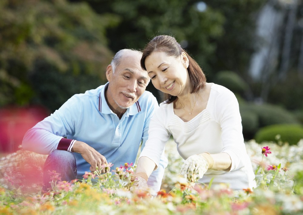 重阳节丨10个老人晚年幸福生活的必要条件，每个老人都要知道